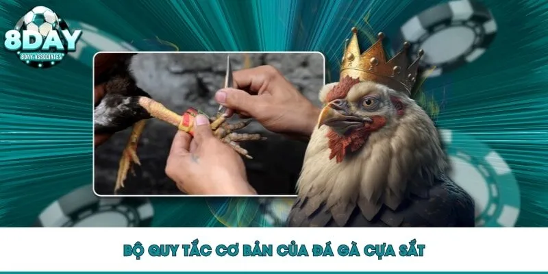 Bộ quy tắc cơ bản của đá gà cựa sắt Bộ quy tắc cơ bản của đá gà cựa sắt