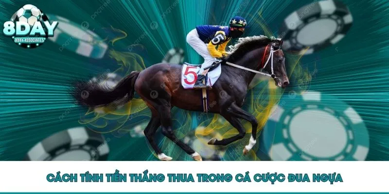 Cách tính tiền thắng thua trong cá cược đua ngựa Cách tính tiền thắng thua trong cá cược đua ngựa