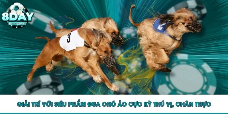 Giải trí với siêu phẩm đua chó ảo cực kỳ thú vị, chân thực Giải trí với siêu phẩm đua chó ảo cực kỳ thú vị, chân thực
