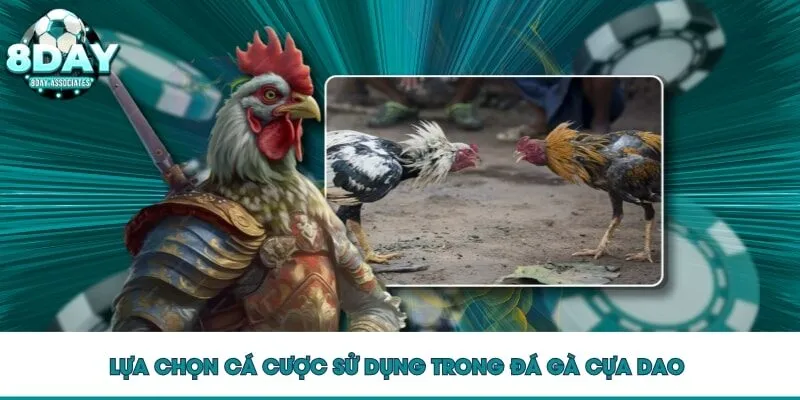 Lựa chọn cá cược sử dụng trong đá gà cựa dao Lựa chọn cá cược sử dụng trong đá gà cựa dao