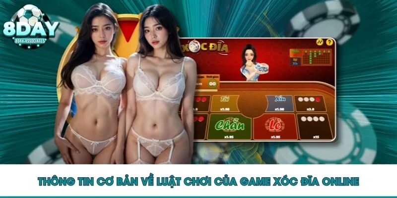 Thông tin cơ bản về luật chơi của game xóc đĩa online Thông tin cơ bản về luật chơi của game xóc đĩa online