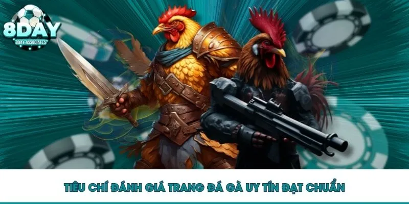 Tiêu chí đánh giá trang đá gà uy tín đạt chuẩn Tiêu chí đánh giá trang đá gà uy tín đạt chuẩn