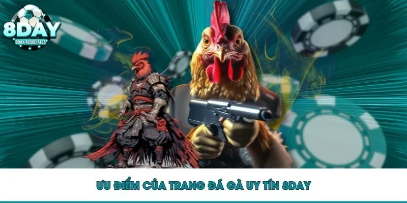 Ưu điểm của trang đá gà uy tín 8DAY Ưu điểm của trang đá gà uy tín 8DAY